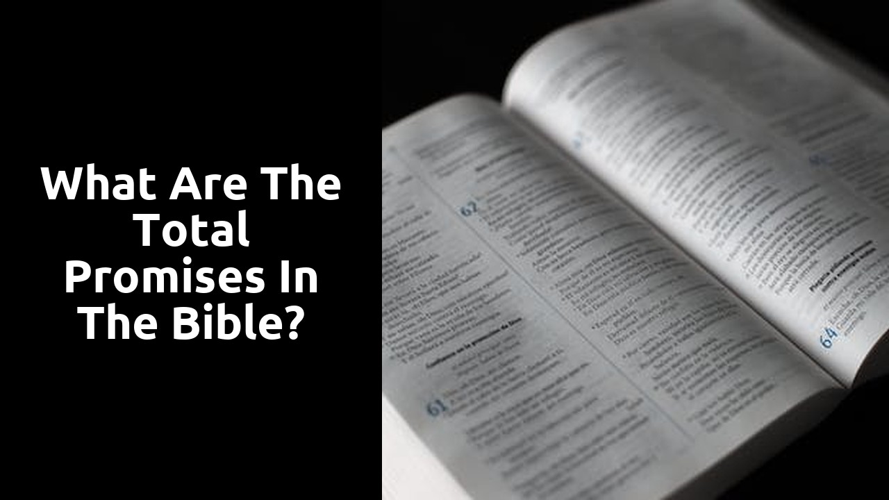 What are the total promises in the Bible?